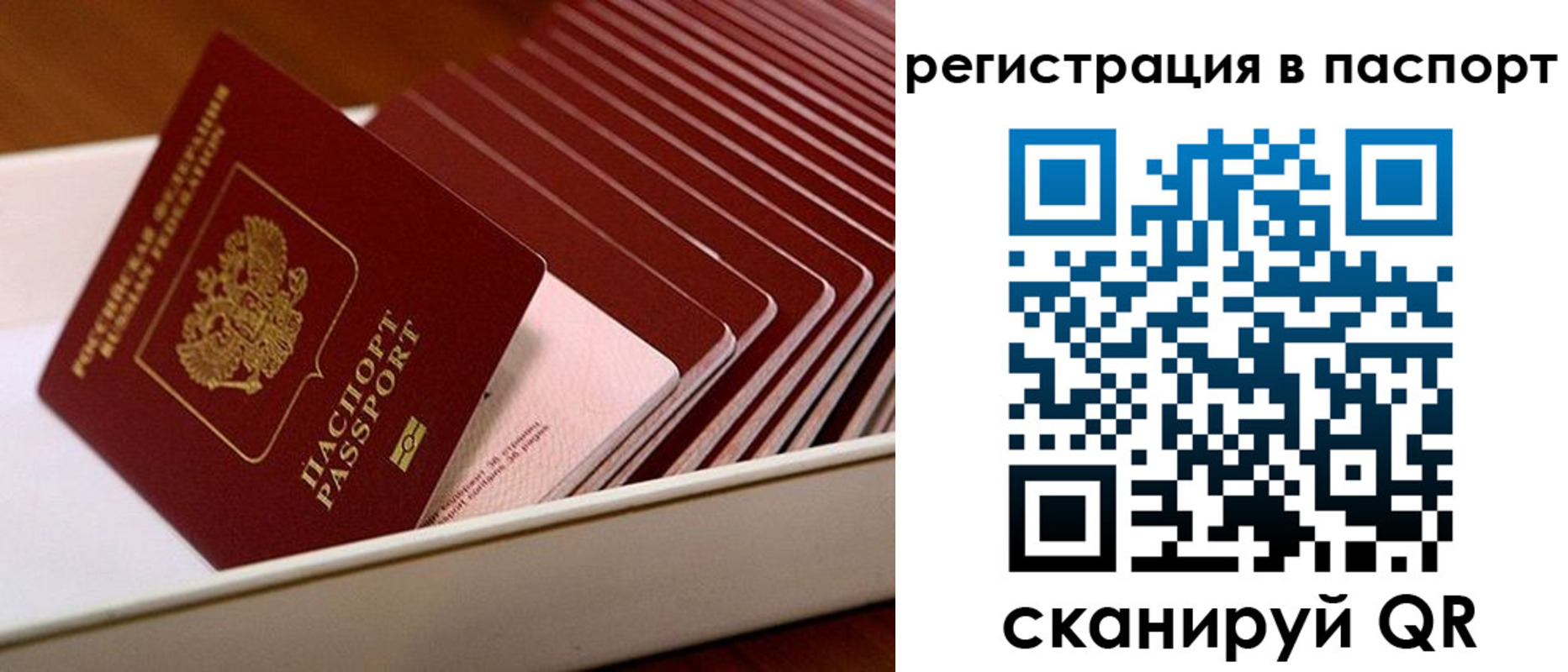 форма 3 в Курской области